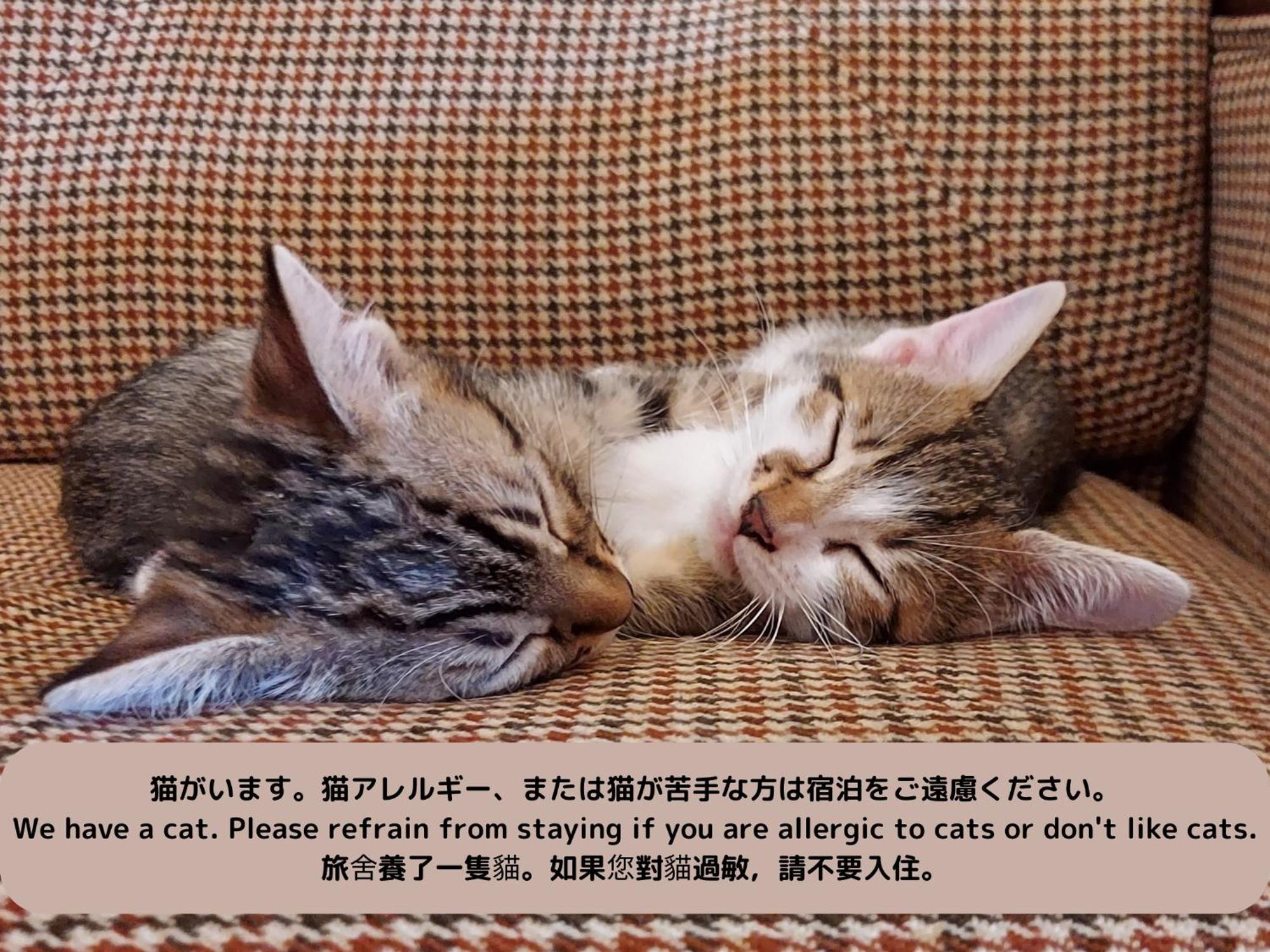 Guest house Iruka Toyama